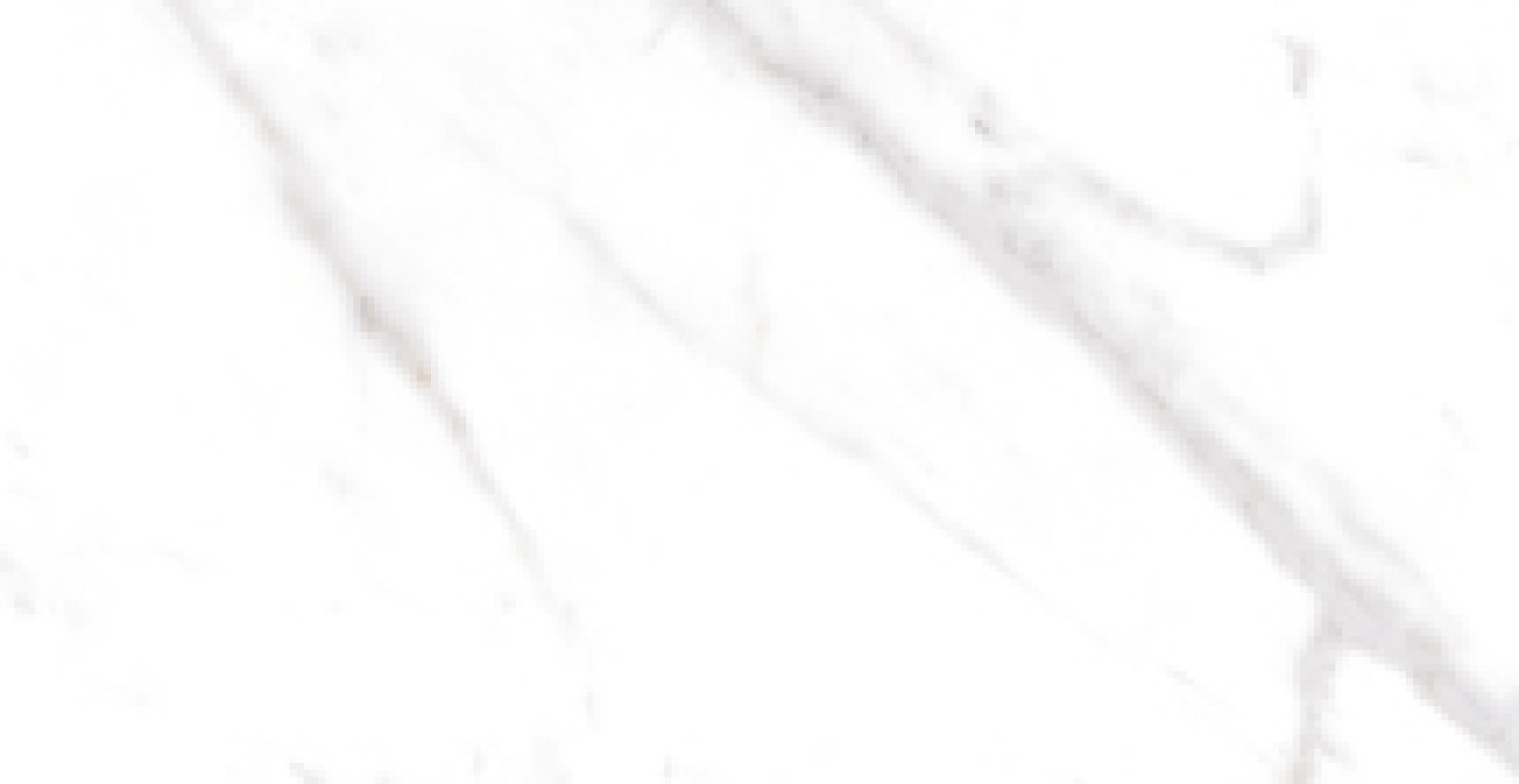 PLATINUM 30X60 TORONTO GREY REC